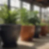 A variety of large planter pots displayed in a garden center, showcasing different materials and designs.