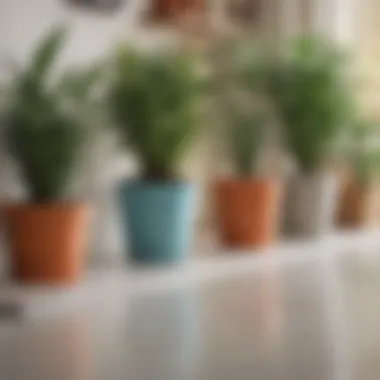 Online Shopping for Planter Pots An online shopping interface displaying various options for big planter pots, emphasizing convenience and variety.